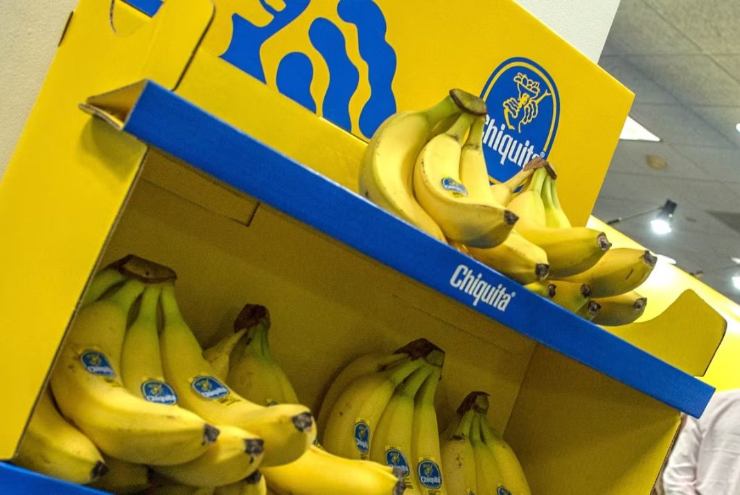 Chiquita Panamá: el país retomará exportaciones de banano a inicios de 2026, según el gobierno